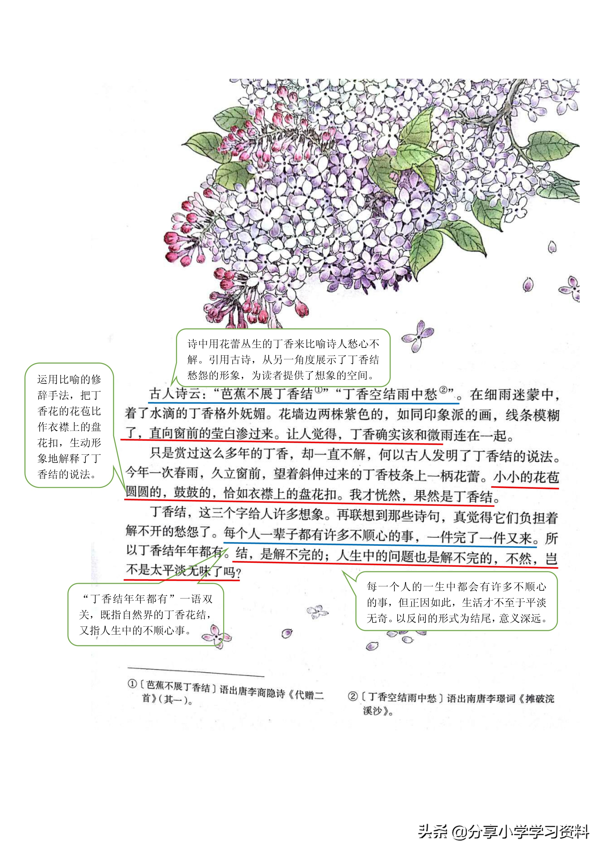 小学语文六上教材解读,六上语文书课堂笔记全册