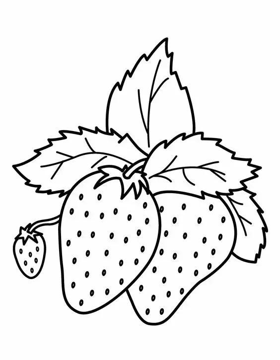 简笔画可爱蔬菜,简笔画简单易学幼儿蔬菜