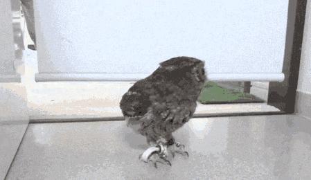 广大学子如何顺利通过毕业答辩?