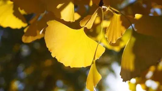 情人节收到的花别扔,情人节花别丢