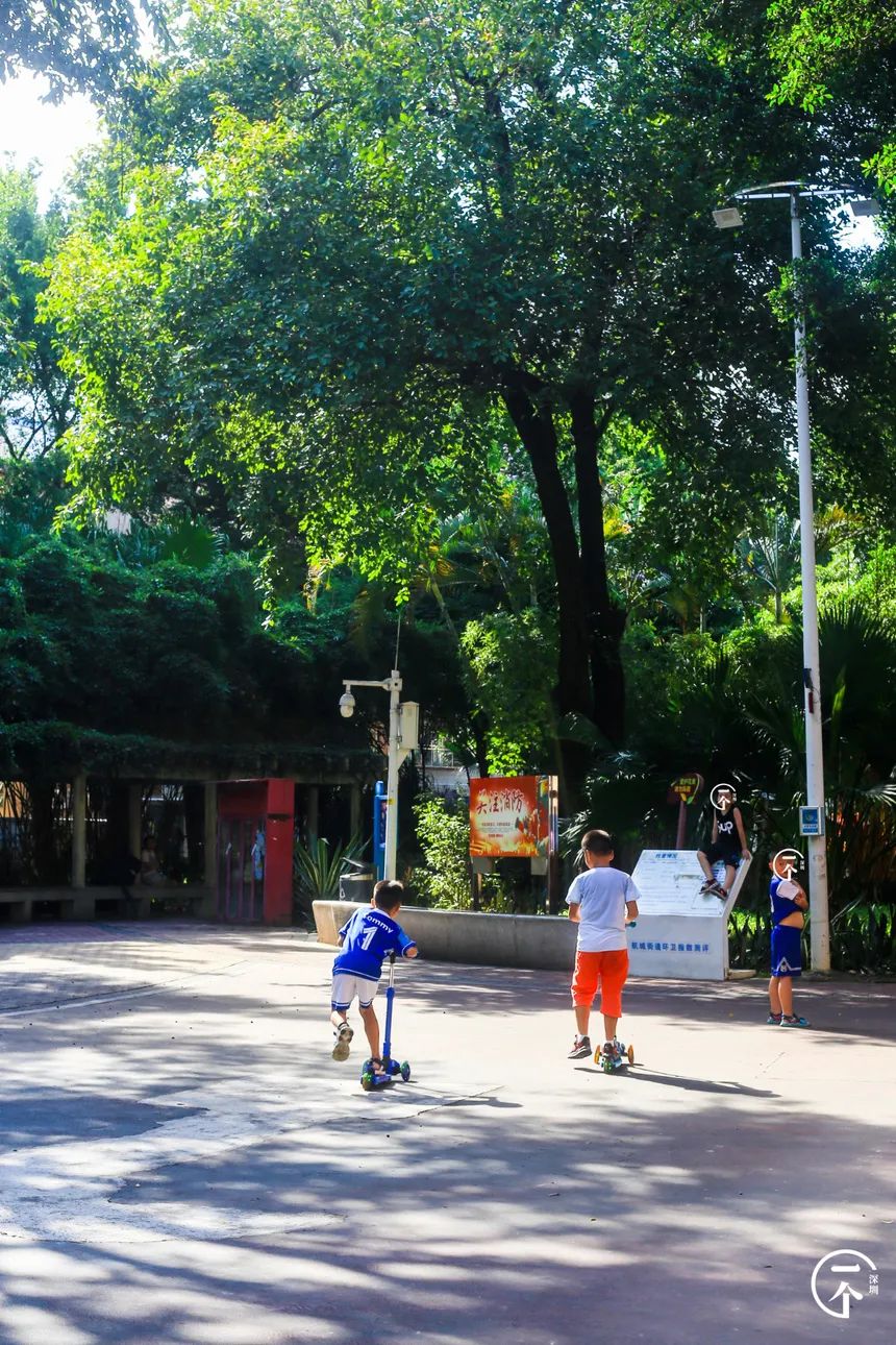 深圳后瑞租房便宜吗,后瑞租房避坑