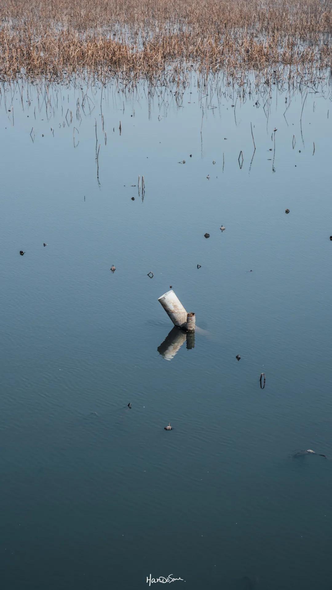 为什么江汉大学这么吸引武汉人？