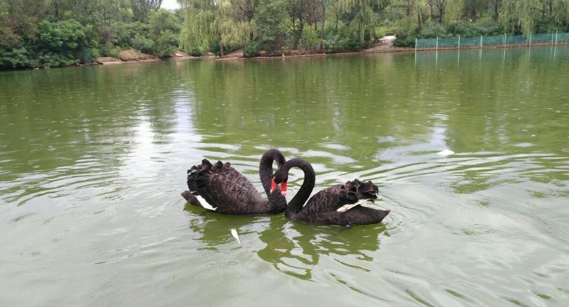 沈阳红色景点打卡,沈阳景点打卡