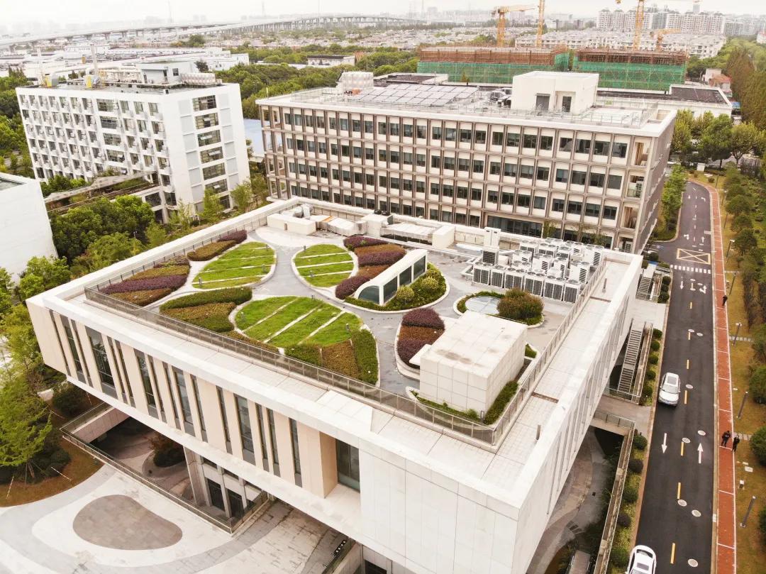 沪上“花园式”工地办公是怎样的体验？来看看这个白玉兰奖工程吧