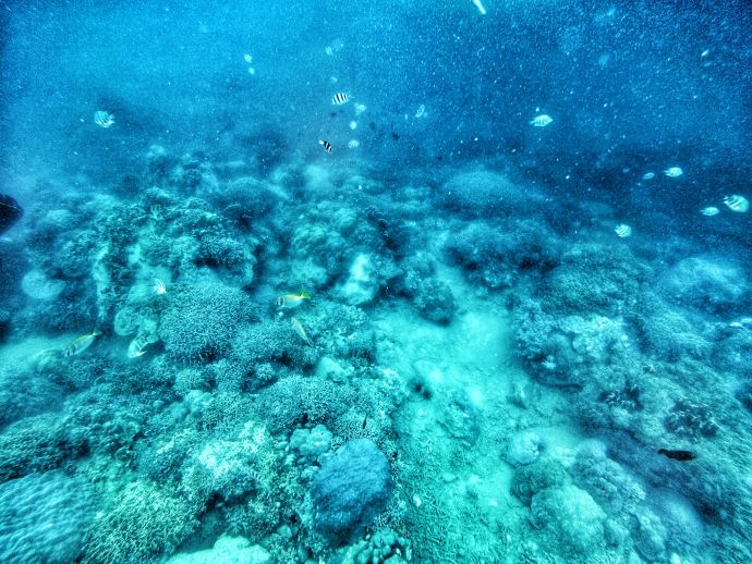 越南胡志明美奈6天自由行,胡志明美奈大叻芽庄怎么游玩