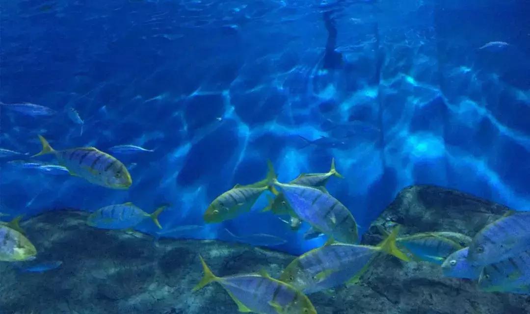 清醒的头脑是一个时代的稀缺品,清醒的头脑是这个世界的稀缺品