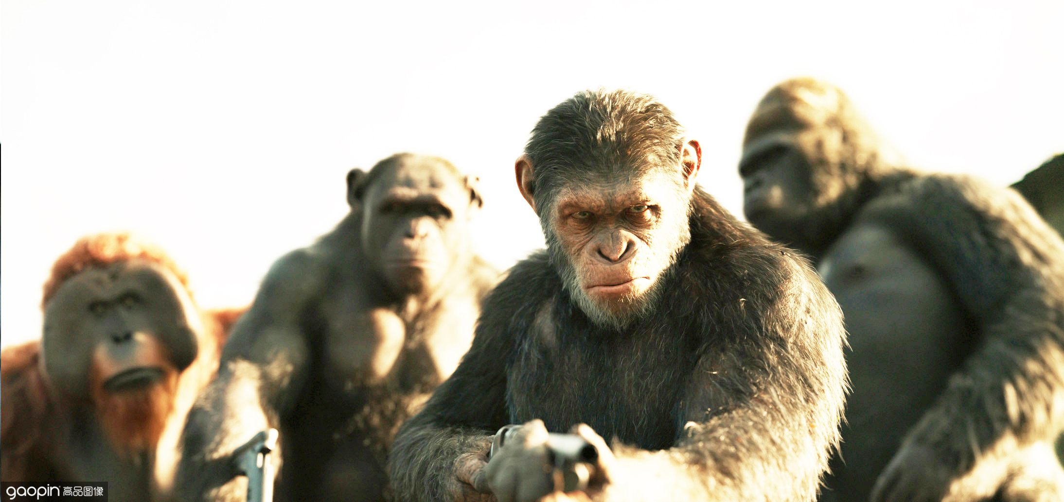 卓别林英伦男人,卓别林英伦cg