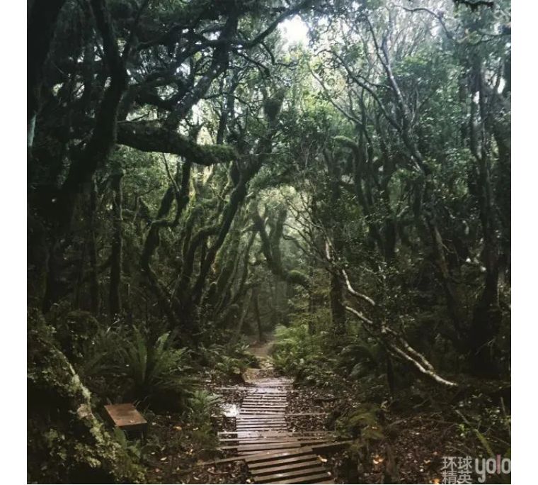 新西兰塔拉纳基山图片,新西兰塔拉纳基山风景区