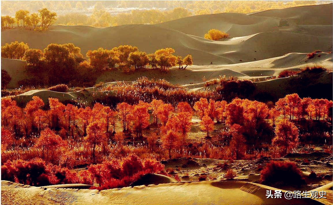 游牧民族与中原汉人有什么区别,疆的原始含义