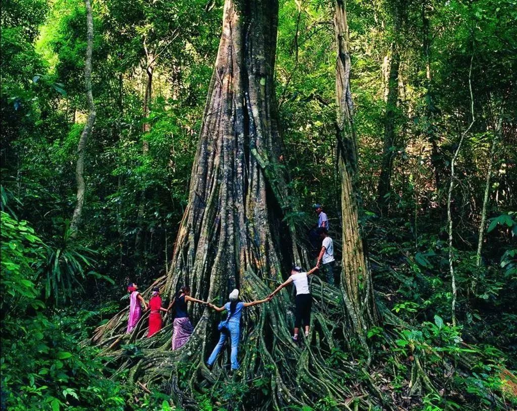 景洪市概况简介,景洪市全景图片