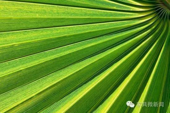 涂料100种常识,涂料常见知识