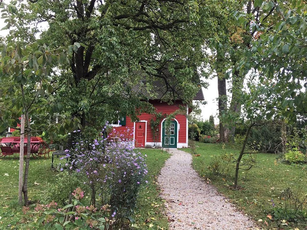 如果气温变冷需要准备什么,温度降到几度花搬到室内