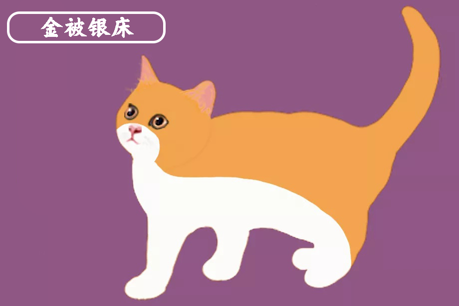 中国古代猫的品种大全带图片,古代名猫花名册