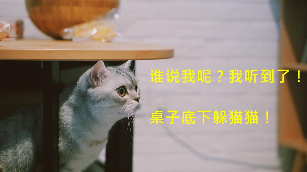 二手车经理,二手车经理和销售经理