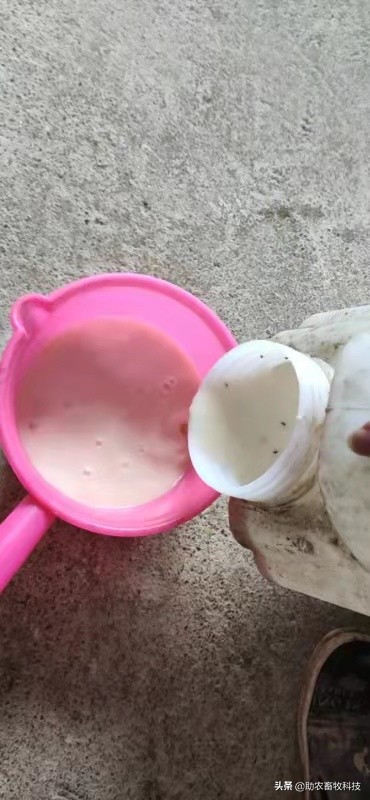 豆腐渣发酵饲养肉狗效果,发酵豆渣喂狗配方