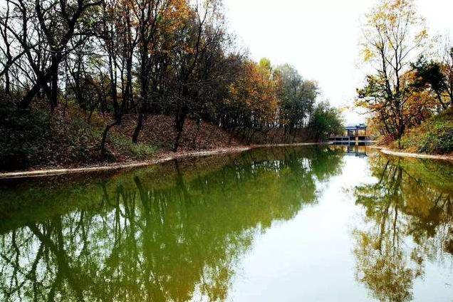 在山南买房的好处,厉害了我的山视频