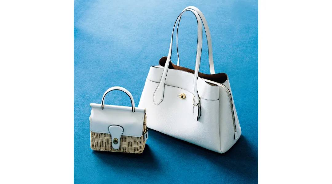 夏款最新流行款包包,高档包时尚百搭包包