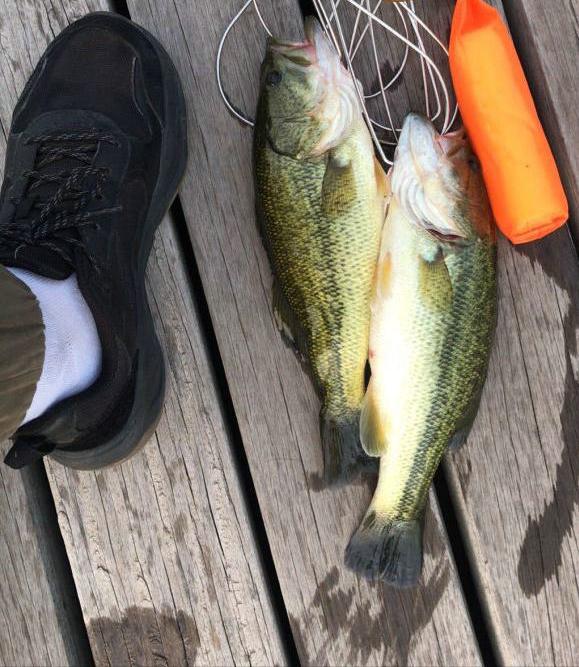 钓鱼高手钓大型鱼类,十年鱼