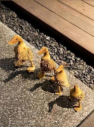 周渝民谈家庭吵架,周渝民决定不生二胎