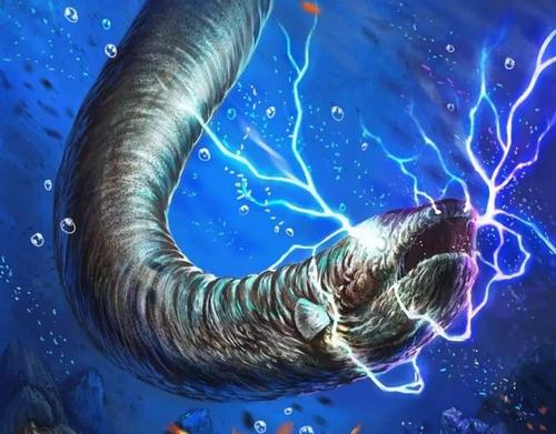 行走的高压线,为什么电鳗可以放电