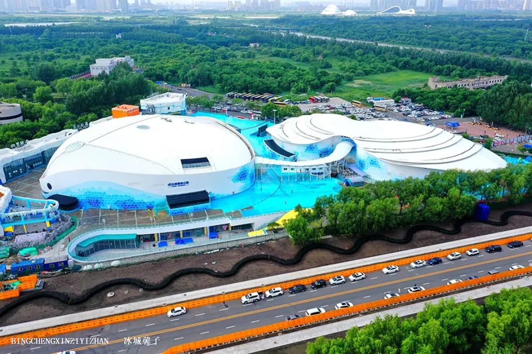 走进哈尔滨完整视频,走进哈尔滨海洋馆