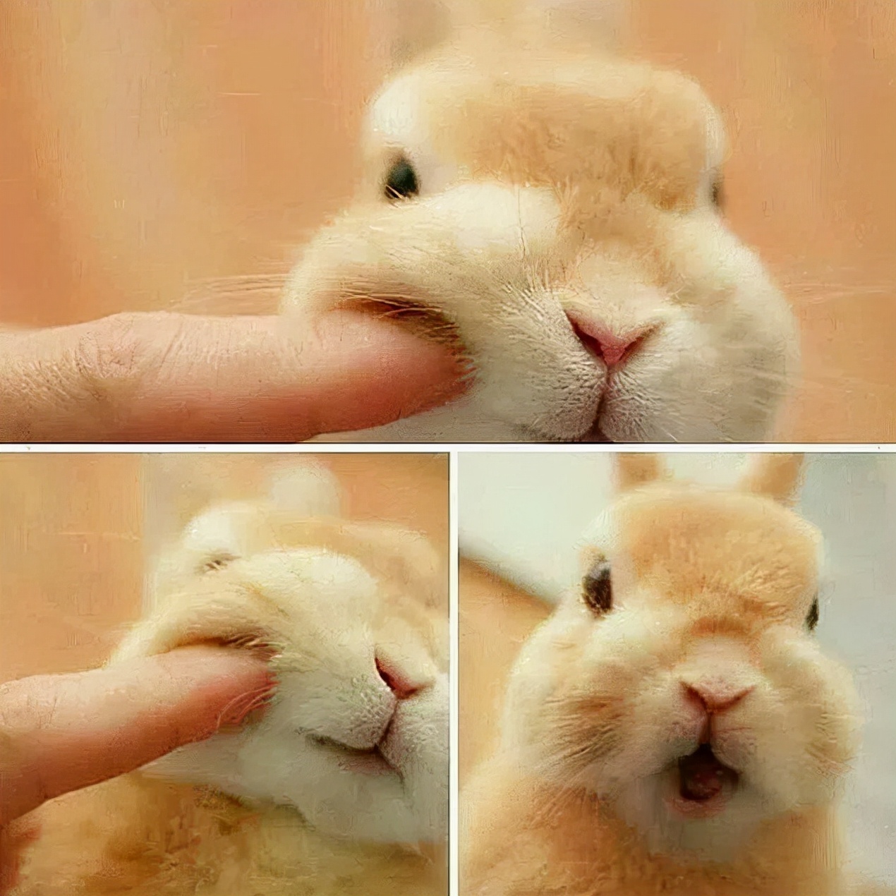 奶fufu女孩,怎么让颜值发挥到巅峰