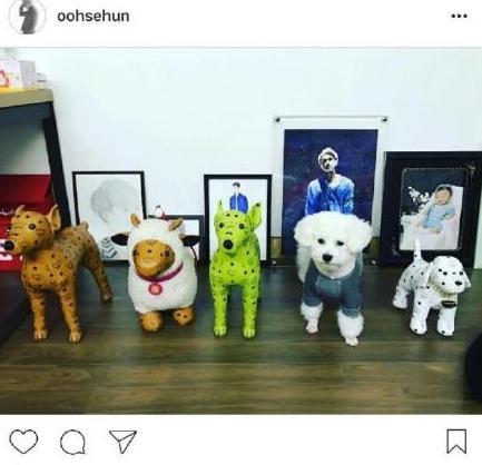 朴灿烈吴世勋关系分析,朴灿烈多芬吴世勋