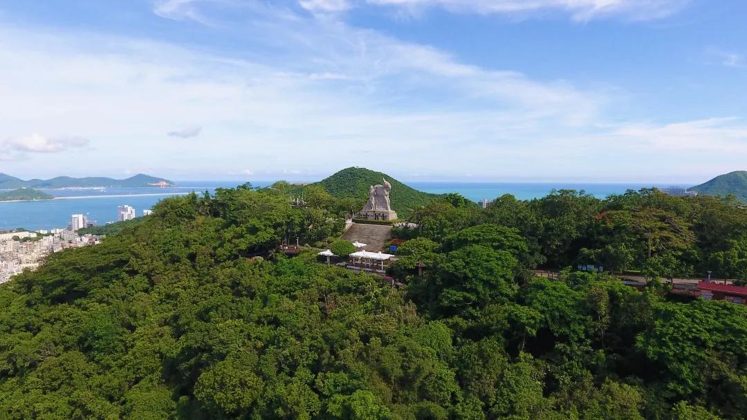 三亚冬天的感受,三亚的冬天的风景