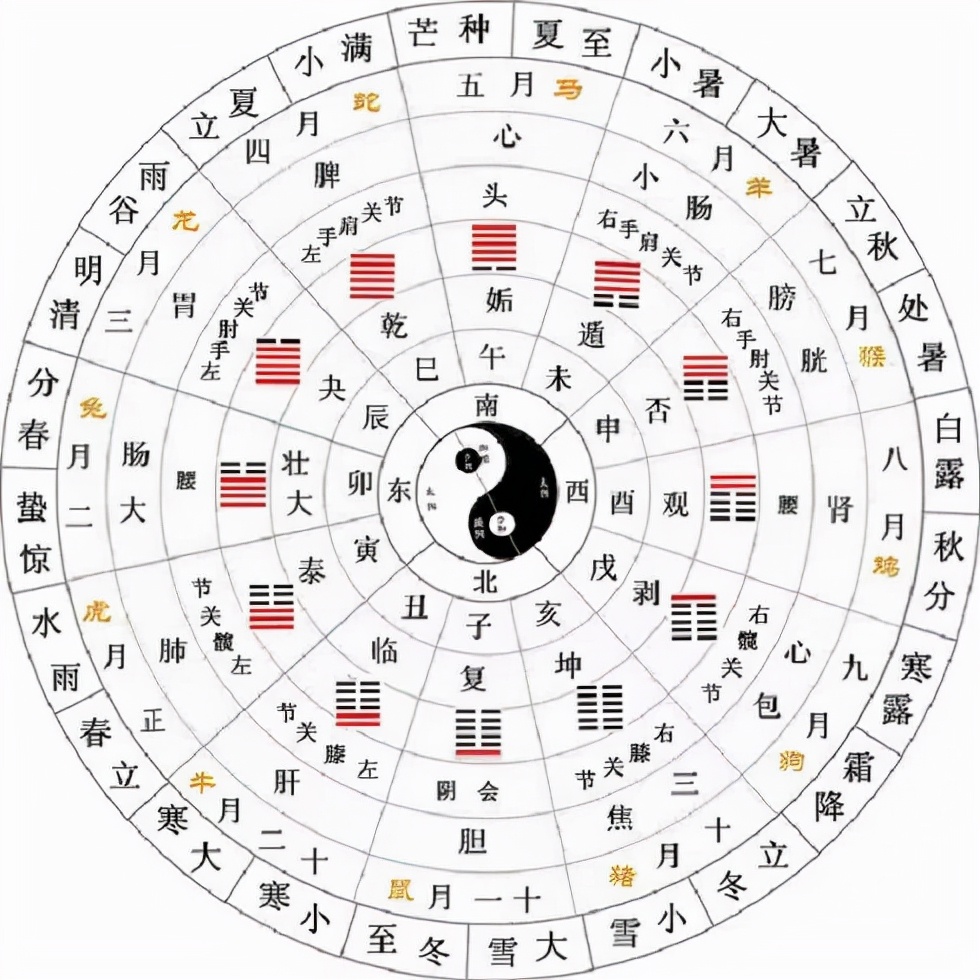 易经这本书讲了什么,易经六十六寓意好的卦