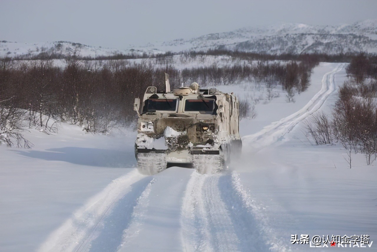 中国为什么在北极有一块地,中国在北极有什么战略