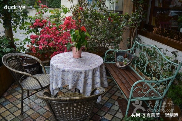 一本书一杯茶感悟人生,一本书一杯茶的感悟