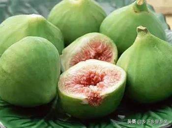 小麦引进中国之前人们吃什么,涨姿势科普刷新您对大米的认知