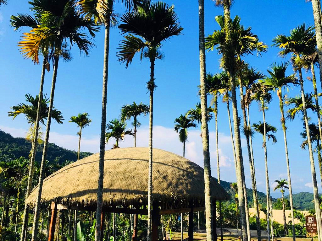 国际公认的“软*品毒**”槟榔，6000万国人却嚼个不停，偏不听劝