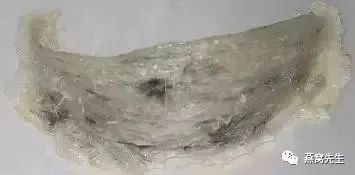 怎么判断干燕窝是否发霉,怎么辨别燕窝是否已经发霉