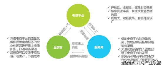 丽人丽妆上市定位分析,丽人丽妆近两年的盈利情况