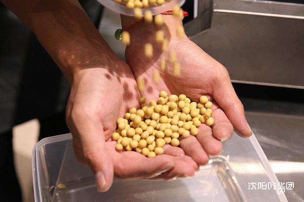 火爆南方的潮店空降沈阳！豆浆里还能加朗姆酒？我醉了