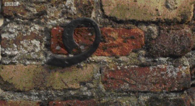 《黑镜》的接力棒,它接了