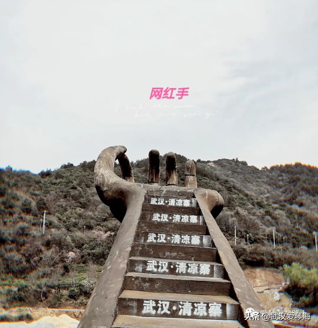 清凉寨樱花烂漫,清凉寨野景