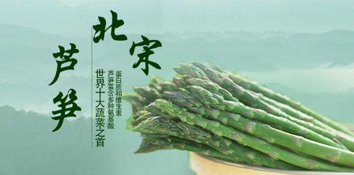 唯一能用于制药的蔬菜——芦笋