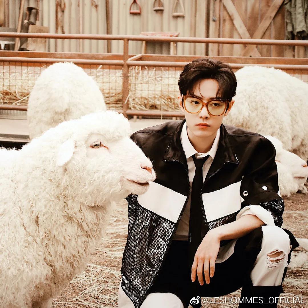 纤细而敏锐,肖战和LESHOMMES