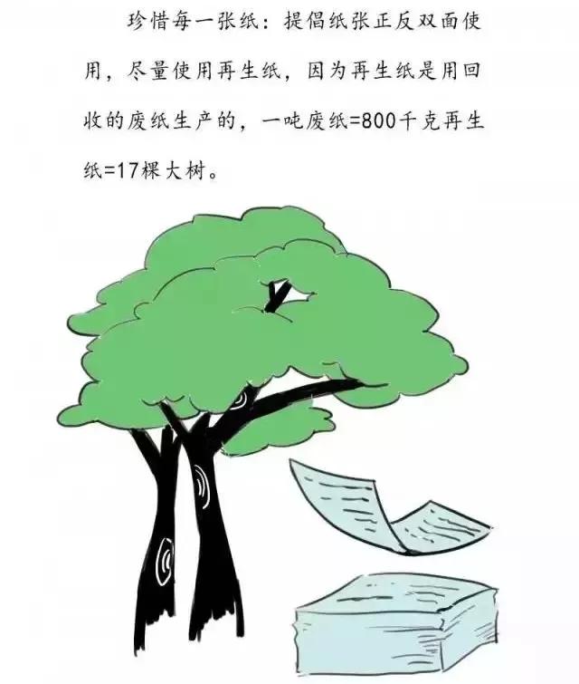 拯救野生动物和保护环境的重要性,我们该怎么保护环境保护动物