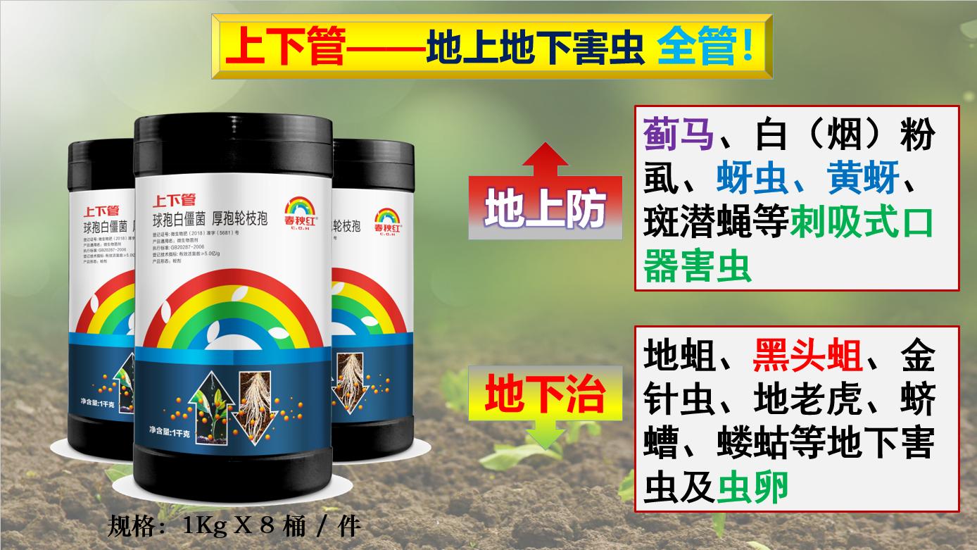 马铃薯常见病虫害及防治方法,马铃薯病虫害诊断与防治论文