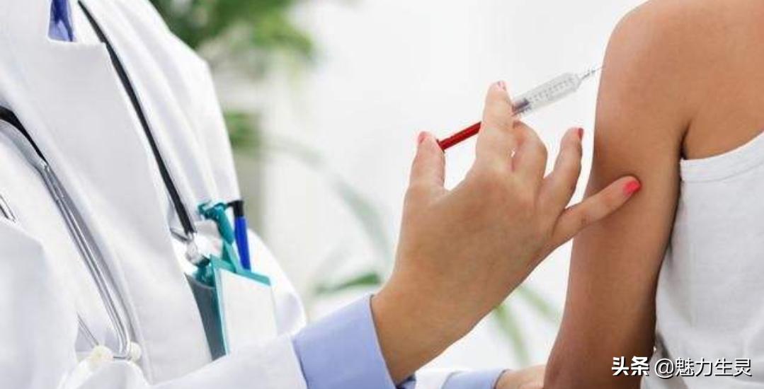 遇到恶狗咬人怎么办抖音视频,遇到咬人的恶狗应该拿什么反抗