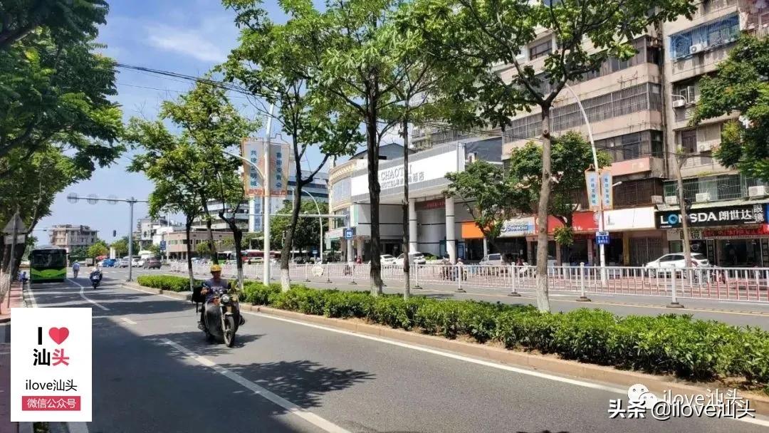 金砂西路西延最新项目,金砂西路西延路线图高清