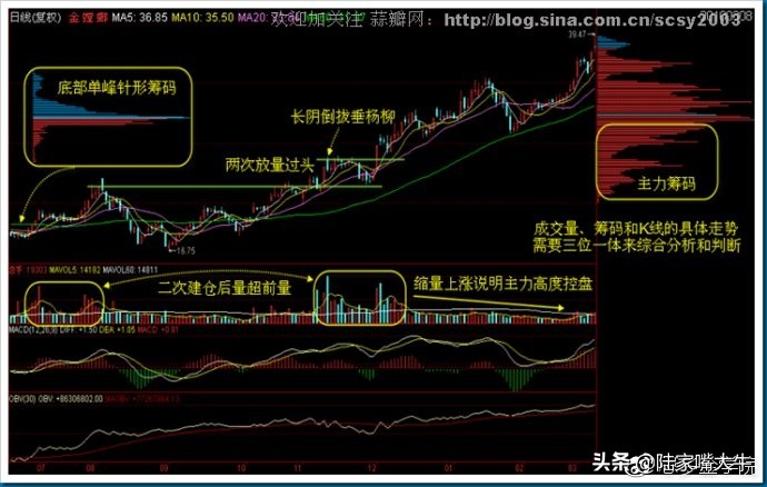 筹码分布战法全套讲解,筹码分布运用详解大全