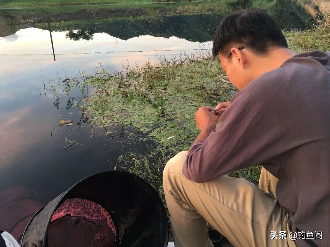 球球钓鱼的优点和缺点,三本钩钓鱼优点缺点