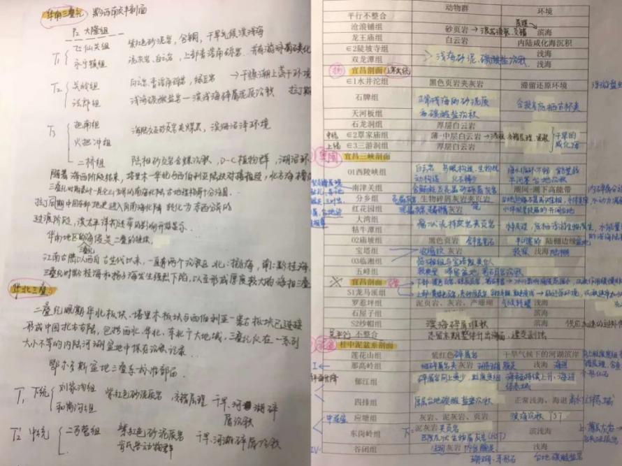 学霸笔记精美堪比印刷,学霸手绘生物笔记走红