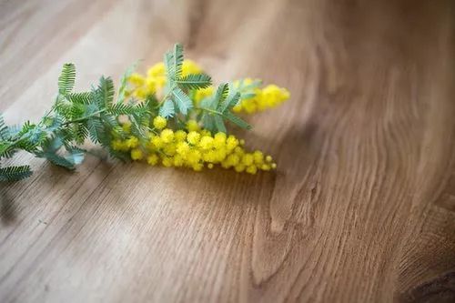 牌品见人品是什么意思,牌品见人品完整版