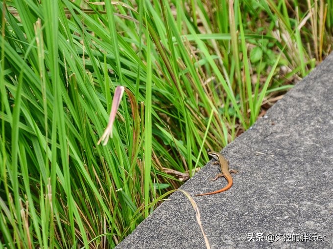 带上妈妈去旅行,带妈妈旅行去哪里合适