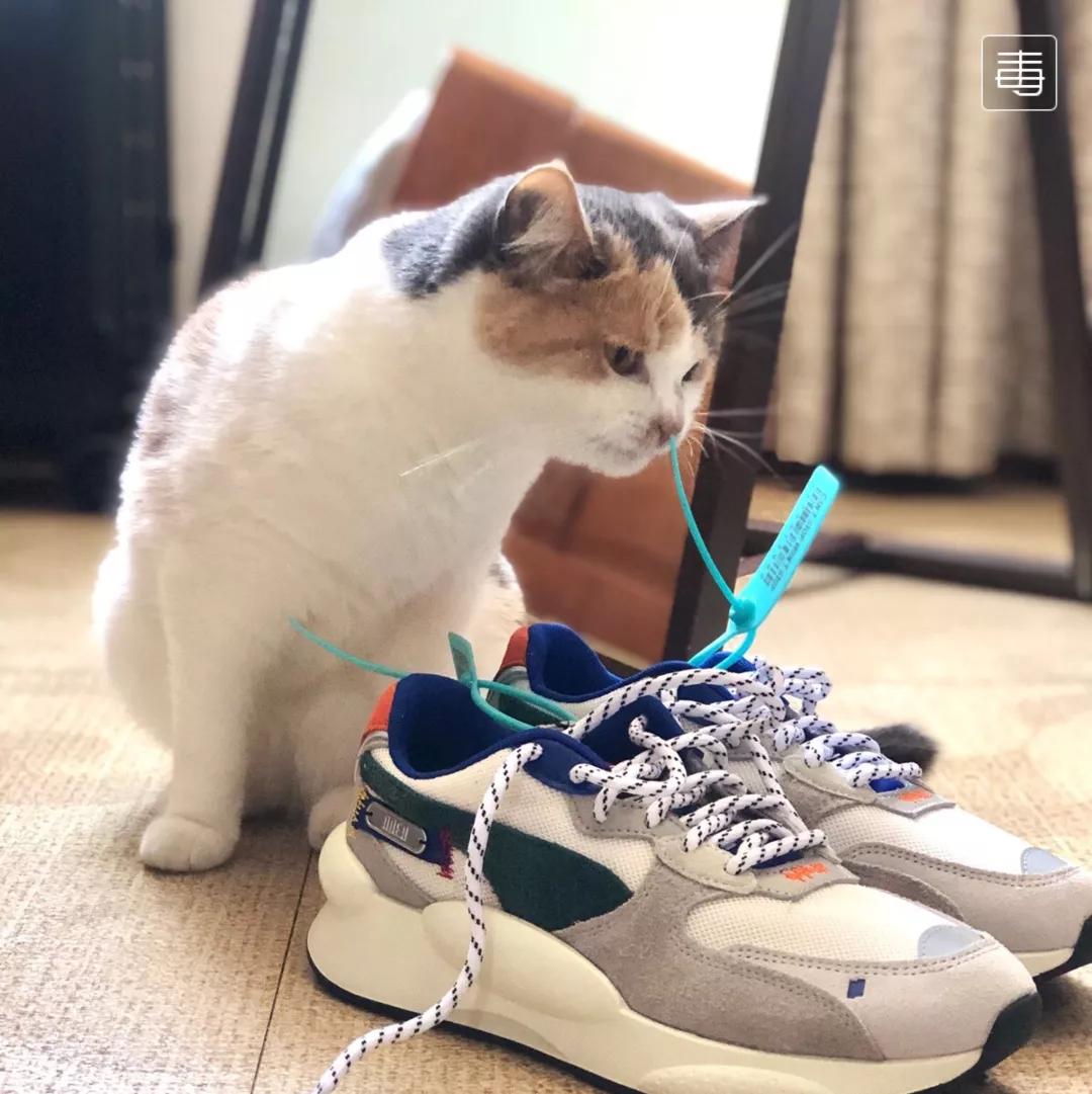 盘点那些吊打nike阿迪的国产鞋,假如世界上没有鞋子